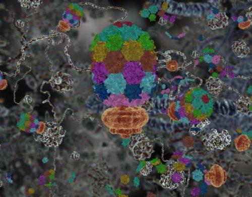 Shows an artistic visualization and modeled snapshot of an infected molecular bacterial cell.